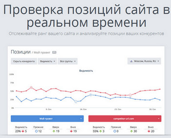 seo анализ сайта